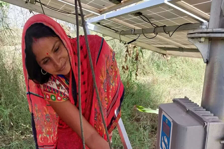 Dhaulpur, Rajasthan: Roasted bajra (pearl millet) will go well with buffalo milk tea, said Baby Devi (35), her red bangles glinting under the blazing sun. Bajra is cultivated predominantly in her village Shankarpur in Rajasthan, located at walking distance from River Chambal.  A farmer and mother of four, Devi grows bajra and arhar (pigeon pea) in her uneven plot located near the river. She dug a borewell in another piece of land adjoining her house in 2016 for cultivating wheat in winter. But prolonged power cuts and a sinking groundwater table hit her hard.  Though Devi cultivated wheat in 2017 by drawing water from a neighbour’s borewell, it was not sustainable due to water charges and power cuts. She finally found a solution by installing a solar submersible motor pump and three solar panels to power them. The plot now has a few guava saplings in it, but will be readied for wheat in the rabi season.     Why the allure of wheat when a normal monsoon is enough to grow nutritious bajra in semi-arid Shankarpur? Though both have Minimum Support Prices, bajra is a kharif crop, which means the land lies fallow in the rabi season. Cultivating wheat at this time will bring in extra money for farmers.  However, the most apt answer lies with eating habits. As Baby Rajput of Gopalpura put it, they cannot eat bajra during summer and the relatively humid rainy months as it heats up the body. So, bajra is consumed in the winter (from November to January) and wheat almost throughout the year (February to October). “When I could not grow wheat, I had to buy it for Rs 20,000 annually. That explains the preference for wheat,” she said.