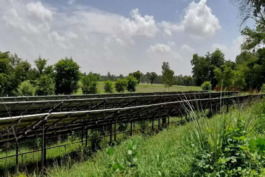 Junkyard of neglect: How political apathy ruined a solar plant in Uttar Pradesh's Unnao