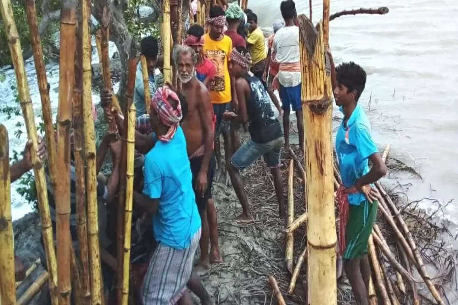 Sundarbans in eye of the storm as Centre, State tussle stalls MGNREGA work