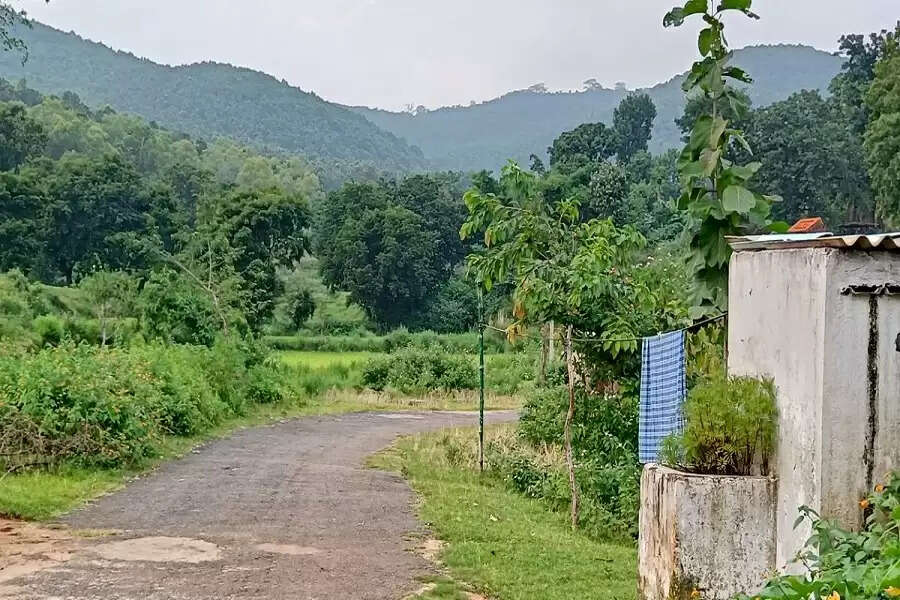 For tribals in Jharkhand’s Arakeram, Sal signifies the tree of life