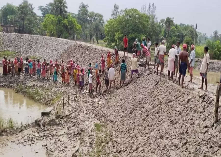 Sundarbans in eye of the storm as Centre, State tussle stalls MGNREGA work