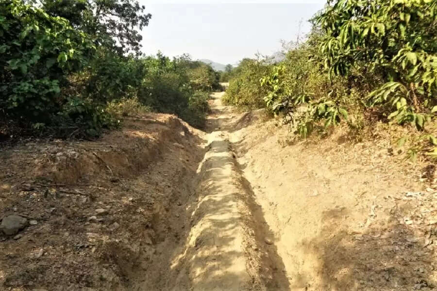 In the name of development, Bihar is slowly losing its dense forests 