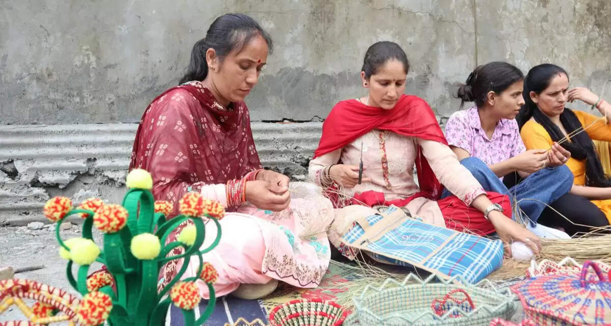 Kusha grass brings ‘khushi’ on Himachal women’s faces