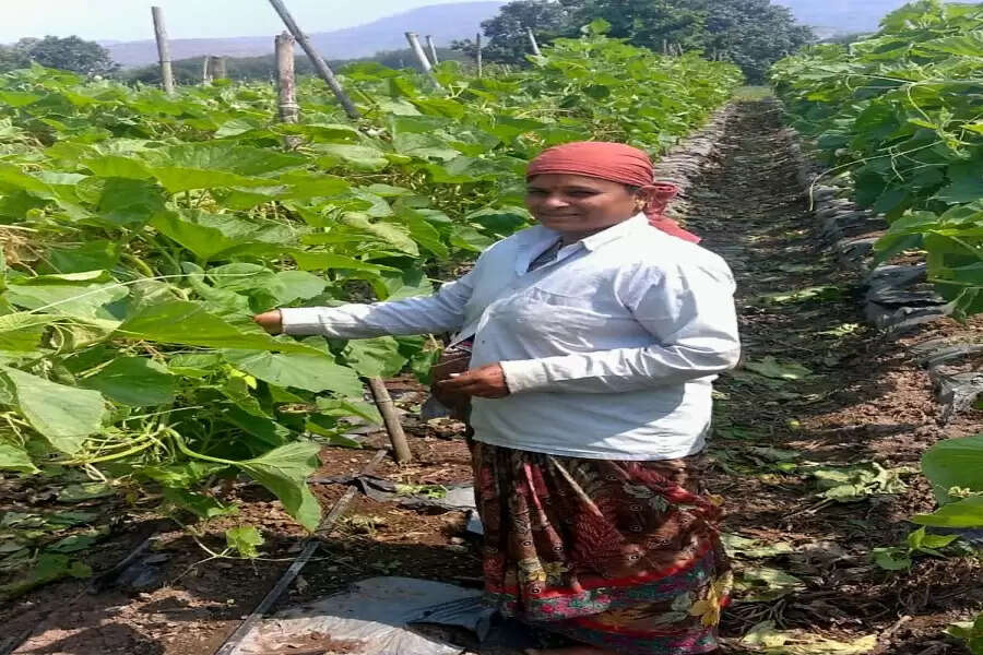 Wet famine, new diseases give sleepless nights to farmers of Gogalwadi