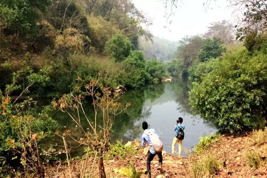 After success with mynahs, Kanger Valley ropes in tribal youth to save its Marsh crocodiles