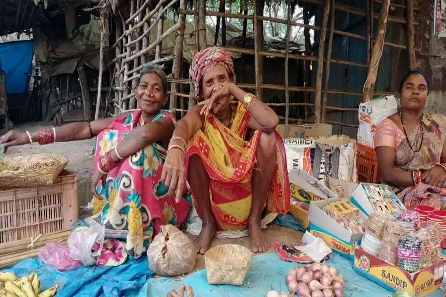 Wild yams provide health and wealth to Odisha tribals root