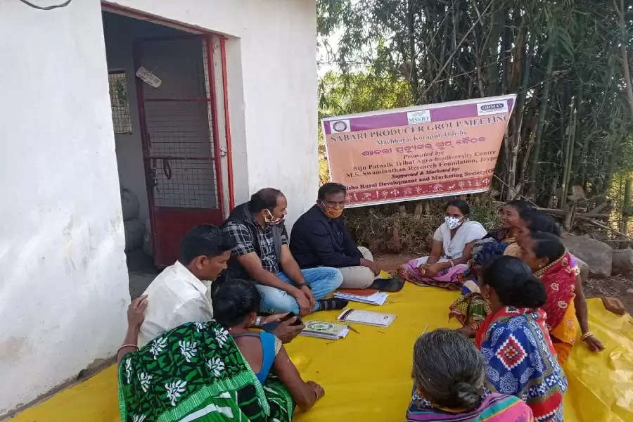 Koraput tribal women rise above the rest, save traditional rice variety from extinction