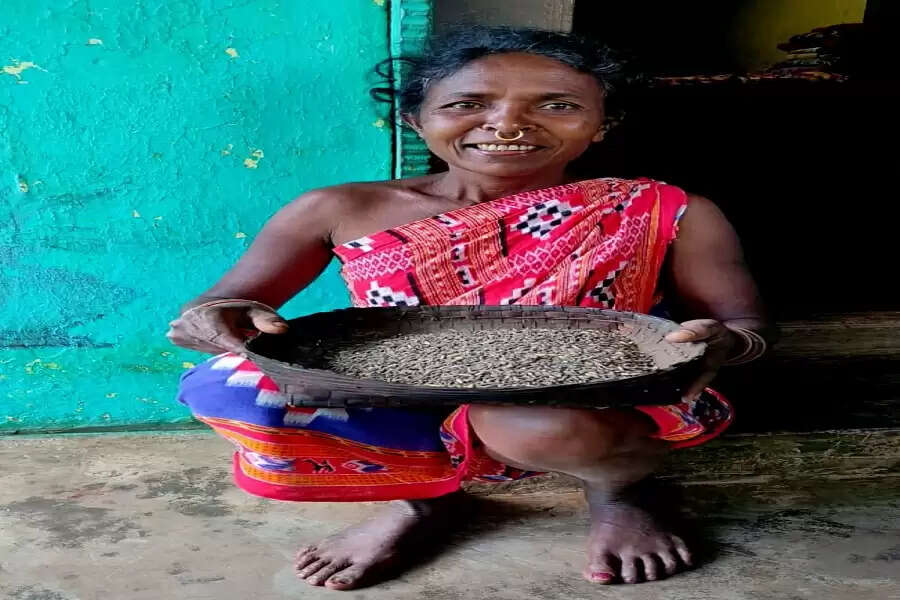 Koraput tribal women rise above the rest, save traditional rice variety from extinction