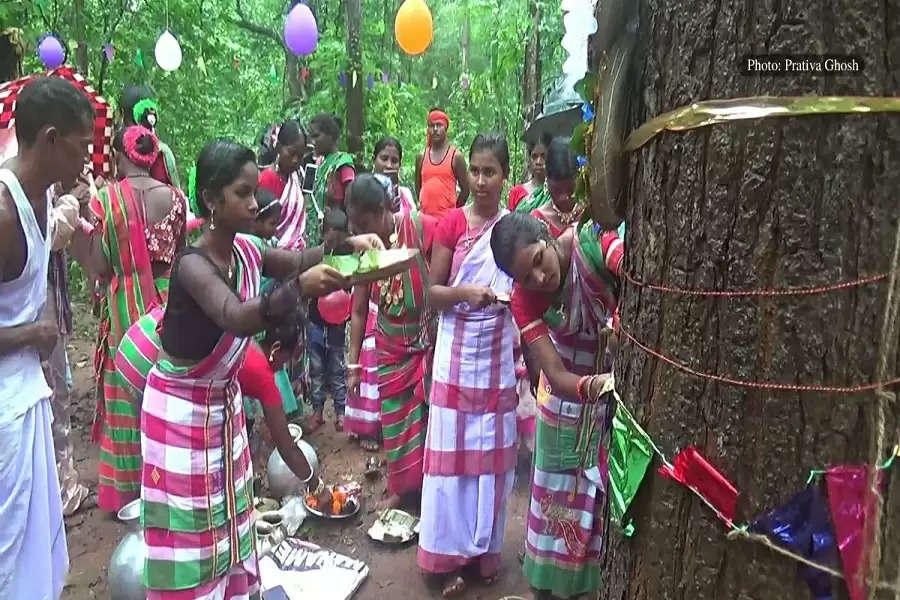  Mayurbhanj’s tribal communities bind with the best, tie rakhis to trees