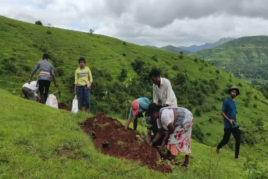Maharashtra village takes afforestation up a notch