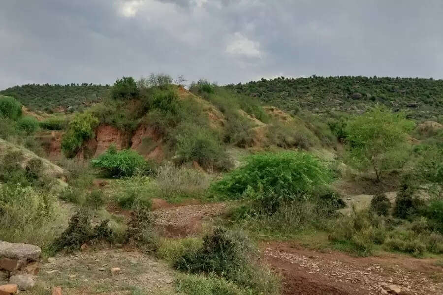 Solar initiation brings cheers to farmers in Rajasthan’s Chambal belt, but is it sustainable