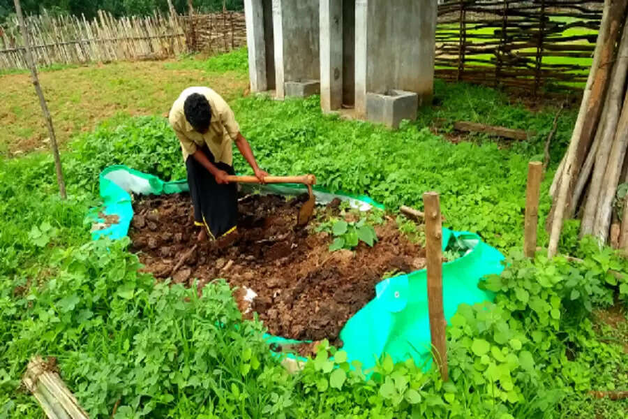 Odisha tribals take fight against malnutrition to their backyards