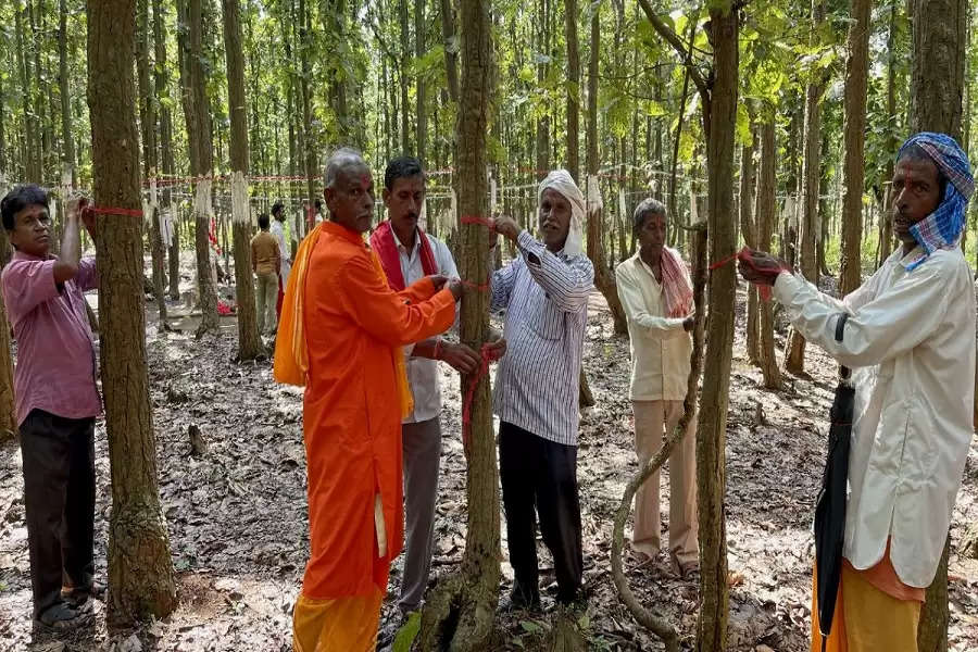 People power revives Jharkhand forest, elephant corridor