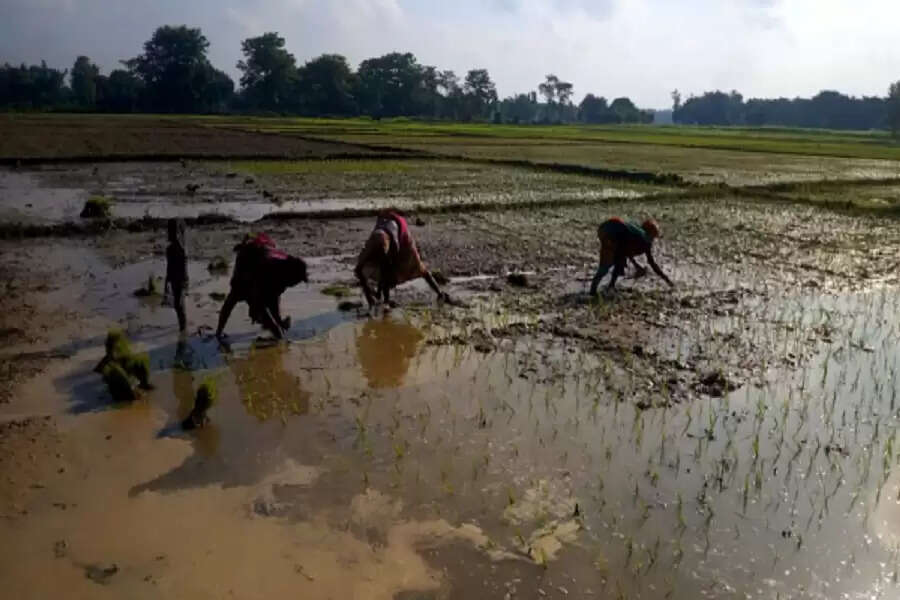 Trouble comes in threes for residents of Kosi's riverbanks in Bihar