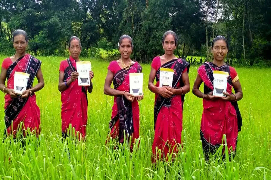 Koraput tribal women rise above the rest, save traditional rice variety from extinction