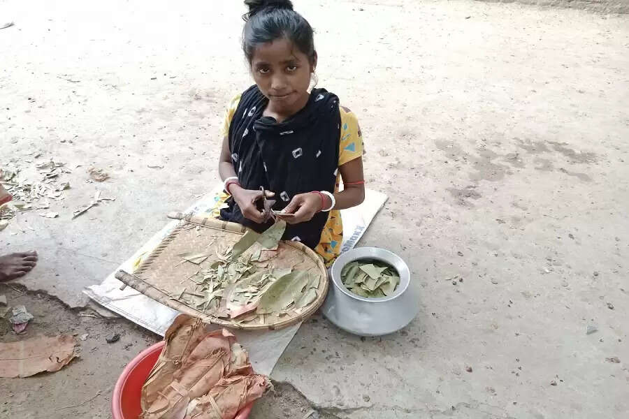 Vandana Mondal, 25, is seen cutting tendu leaves for beedi rolling (Photo - Rahul Singh)