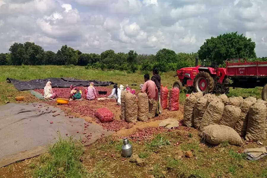 Same hours, Less pay The cost of being a woman farmhand in rural Maharashtra