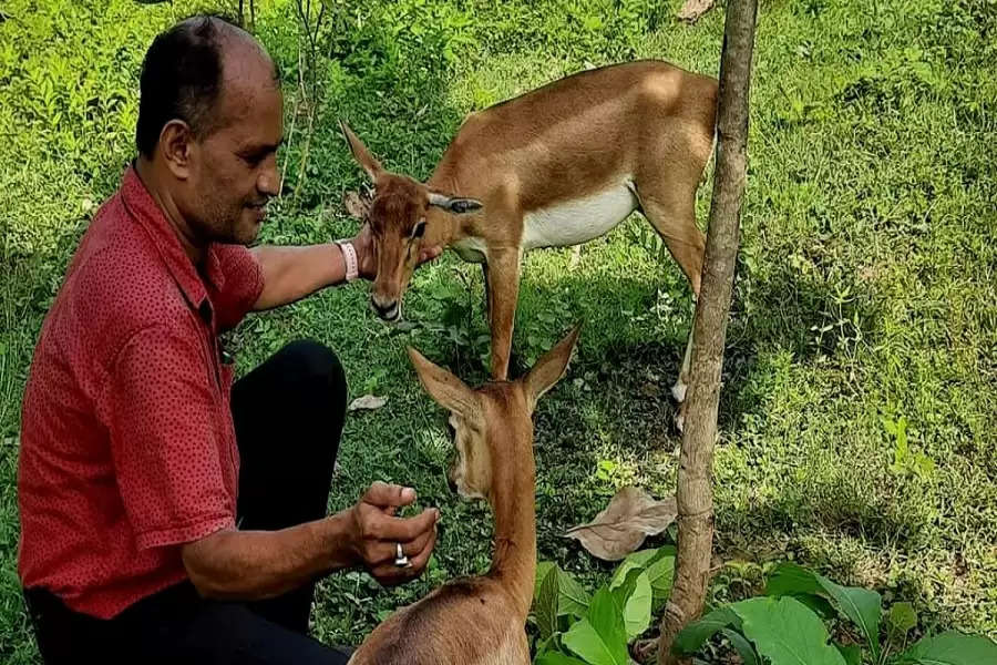 Ganjam, Odisha: What does it take to be friends with the Indian antelope?