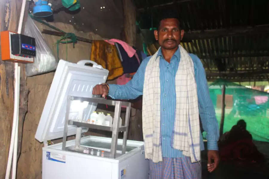 Rural Malkangiri rears livestock while the sun shines