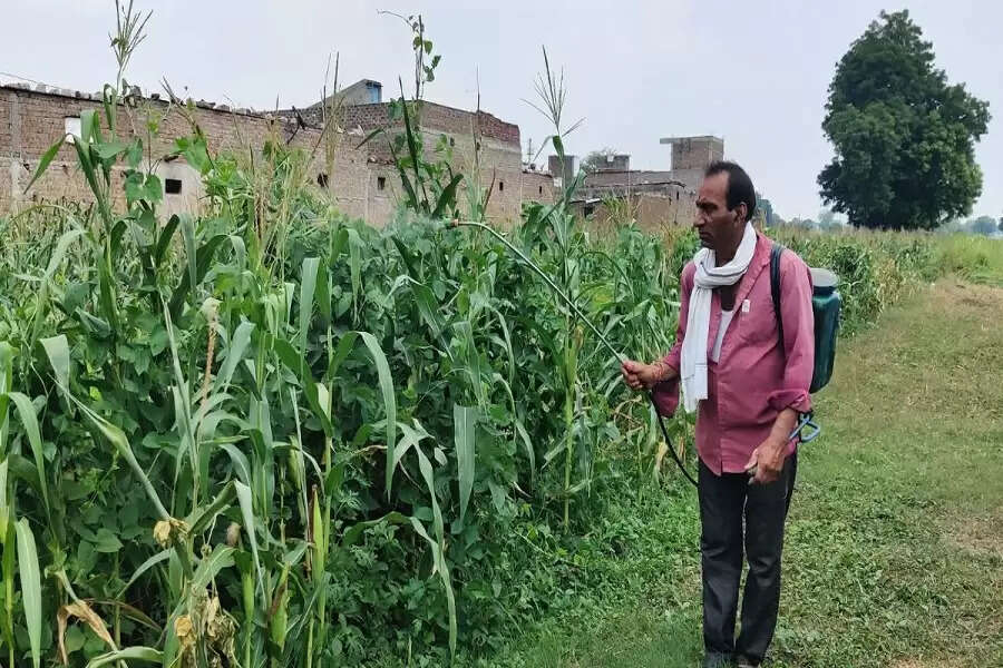 Children of the ‘dammed’ Sardar Sarovar project renders three generations landless, poor