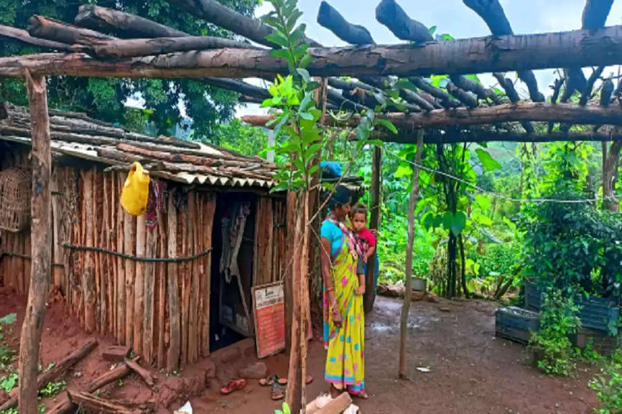 Odisha tribals take fight against malnutrition to their backyards