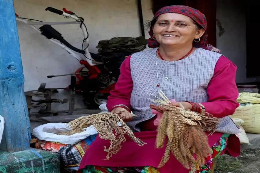 Nanj natives bunch together to revive a lost forest for fodder