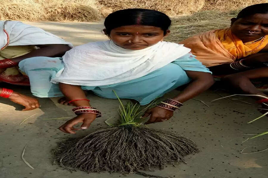 Due to a successful enterprise, women have also achieved a social upliftment in their village (Photo: Prativa Ghosh)