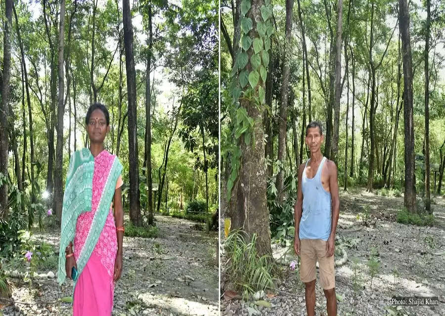 The Return of the Native Part 2: ‘Miracle’ in the forest pays rich dividends for Udalguri