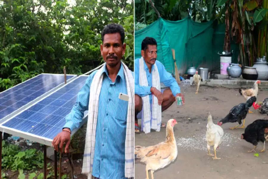 Rural Malkangiri rears livestock while the sun shines