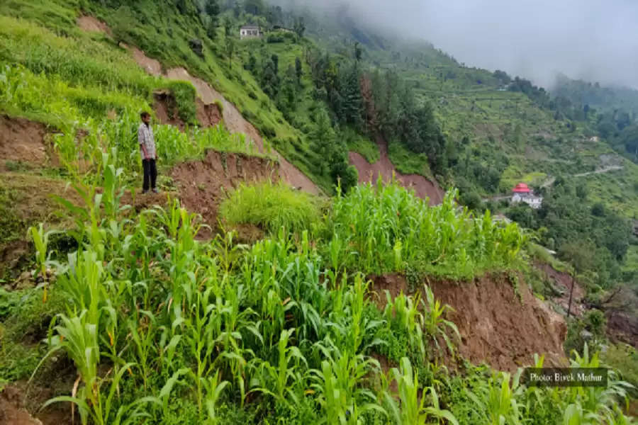 A farmer laments the damage of his maize crops due to the landslides. (Photo: Bivek Mathur)