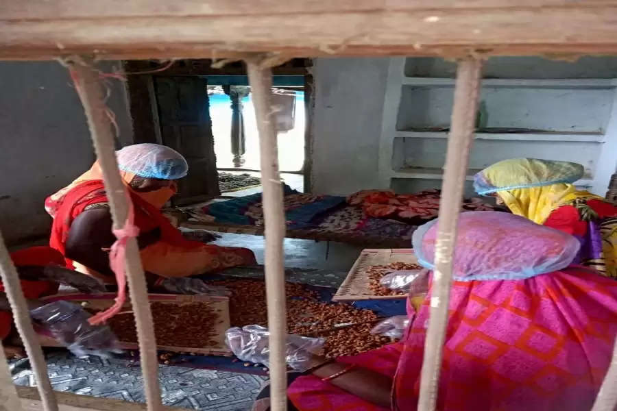 No more liquor, tribal women switch to mahua ladoos to double their income