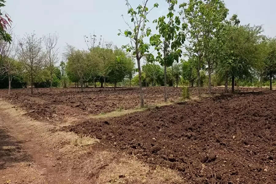 Pani panchayat2 (Photo-Sunil Balasaheb Dhumal)