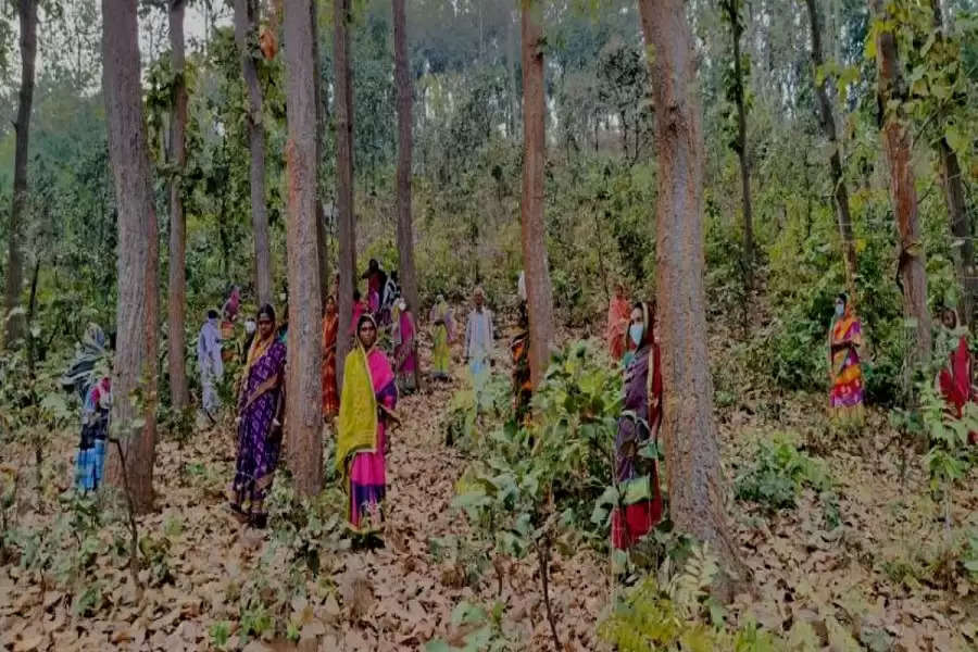 Story from Odisha: The guardian angels of Odisha’s Gundalba forests