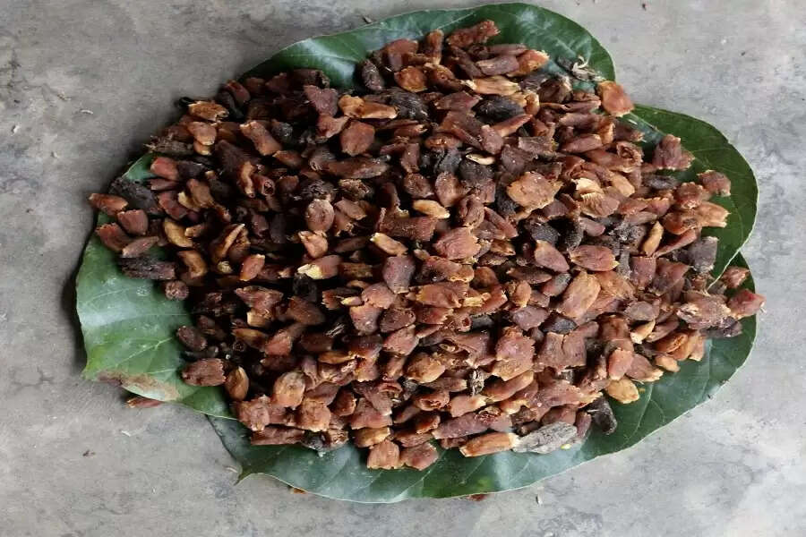 Mahua in full bloom, but women flower collectors in a state of gloom